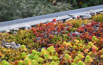 the cost of Creech green roof installation