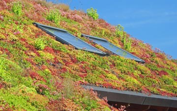 Creech living roof systems