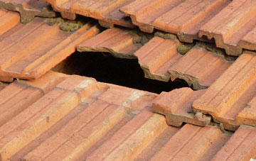 roof repair Creech, Dorset