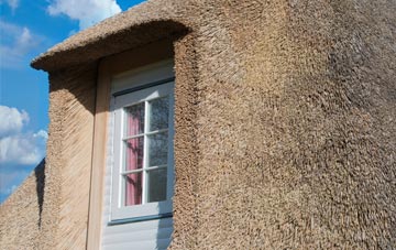 Creech thatch roof disadvantages