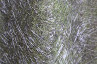 Creech fibreglass roof work